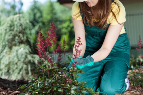 Waste handling and lawful disposal after tree works