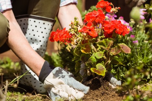 Seasonal hedge cutting and tidy clear-up in Covent Garden