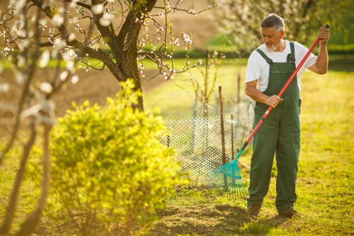 Terms and conditions for UK tree surgery services