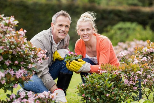 Insurance documentation and safety planning for tree surgery work